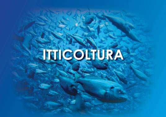 VIDEO 3 ITA44.jpg